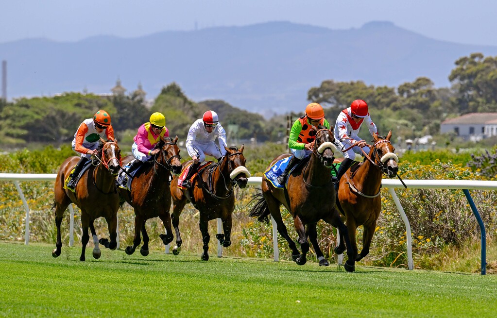 Five jockeys in colourful wear racing horses on a grassy track.